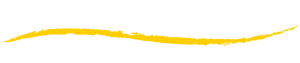 Bathroom Renovation specialists Sunshine Coast